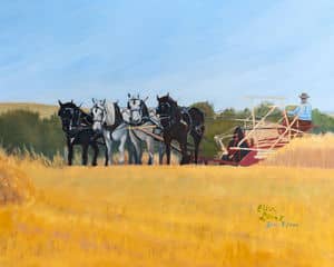 Oil painting by Ellen Lorne — Black and White Swathing